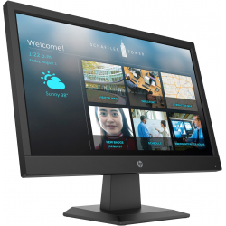 HP P19b G4 - LCD monitor -...